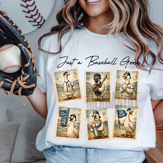 Just a Baseball Goose