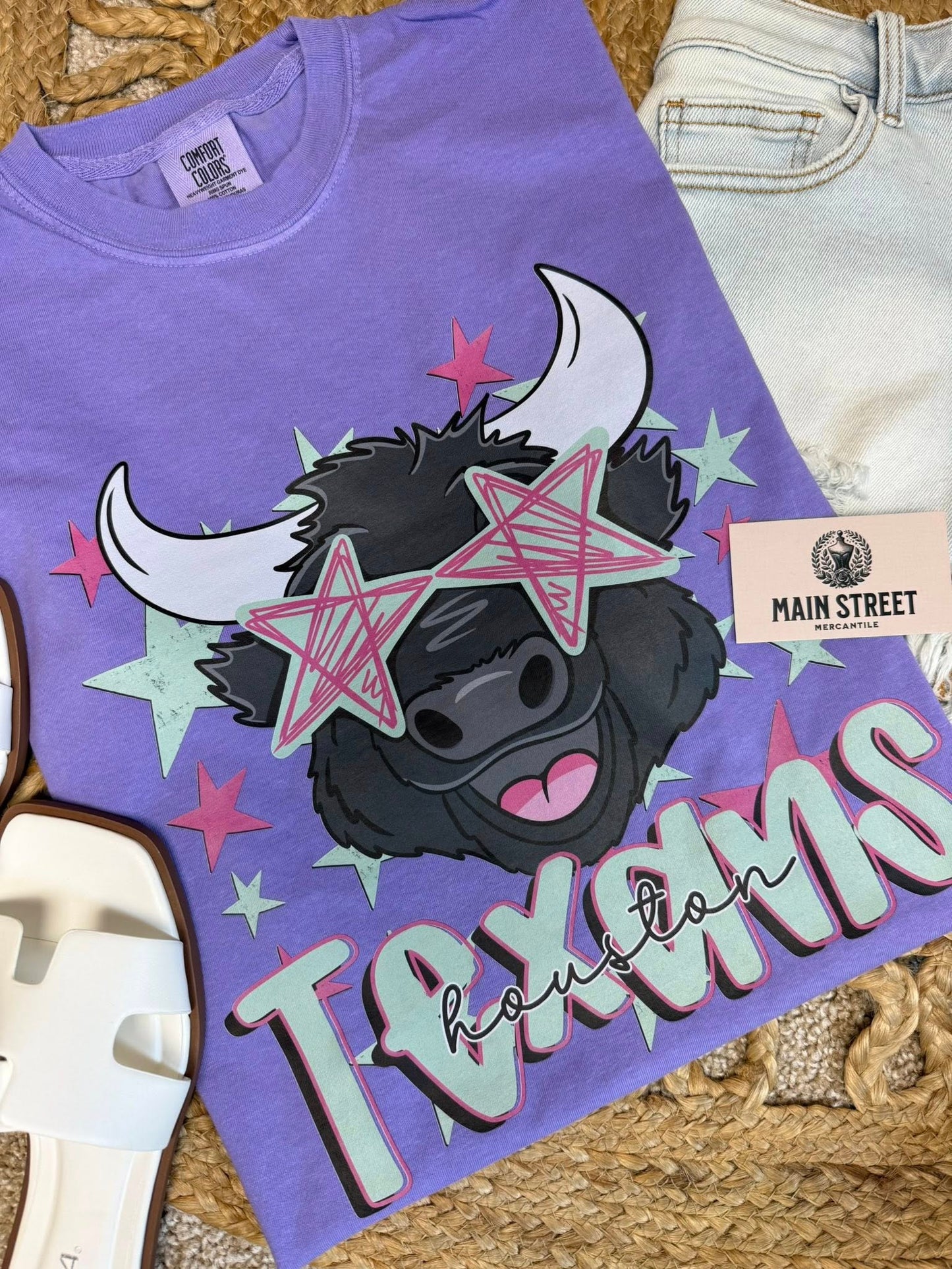 Summer Vibes Mascot - Houston Texans