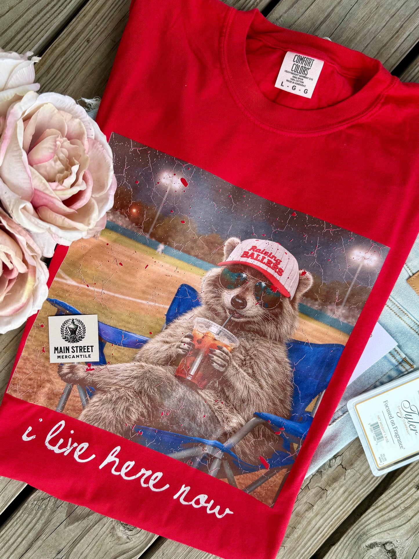 Ballpark Racoon
