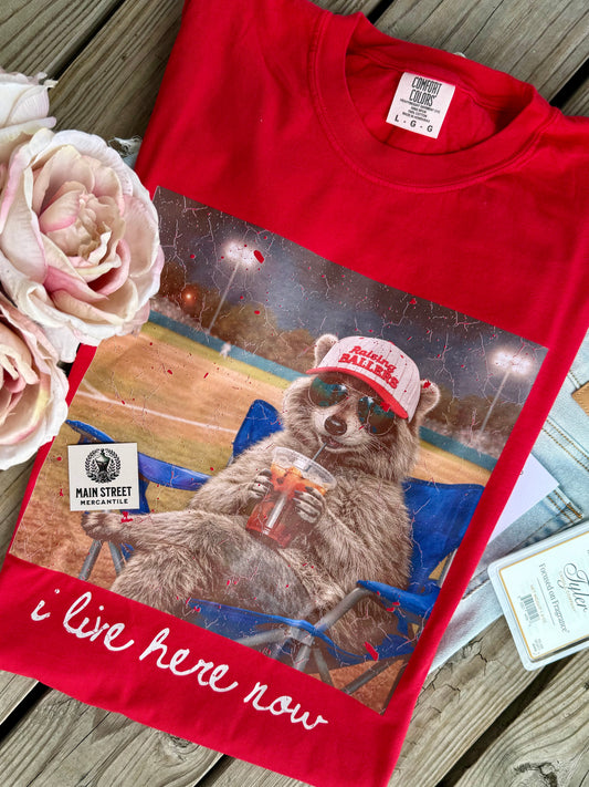 Ballpark Racoon