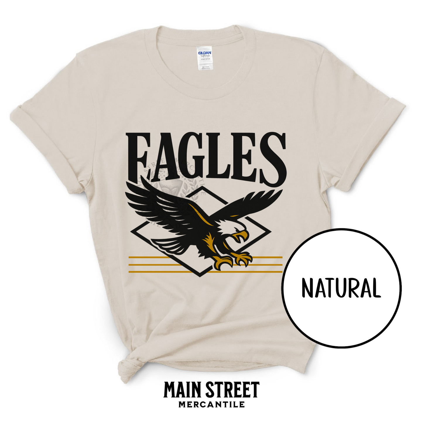 Soaring HJS Eagles