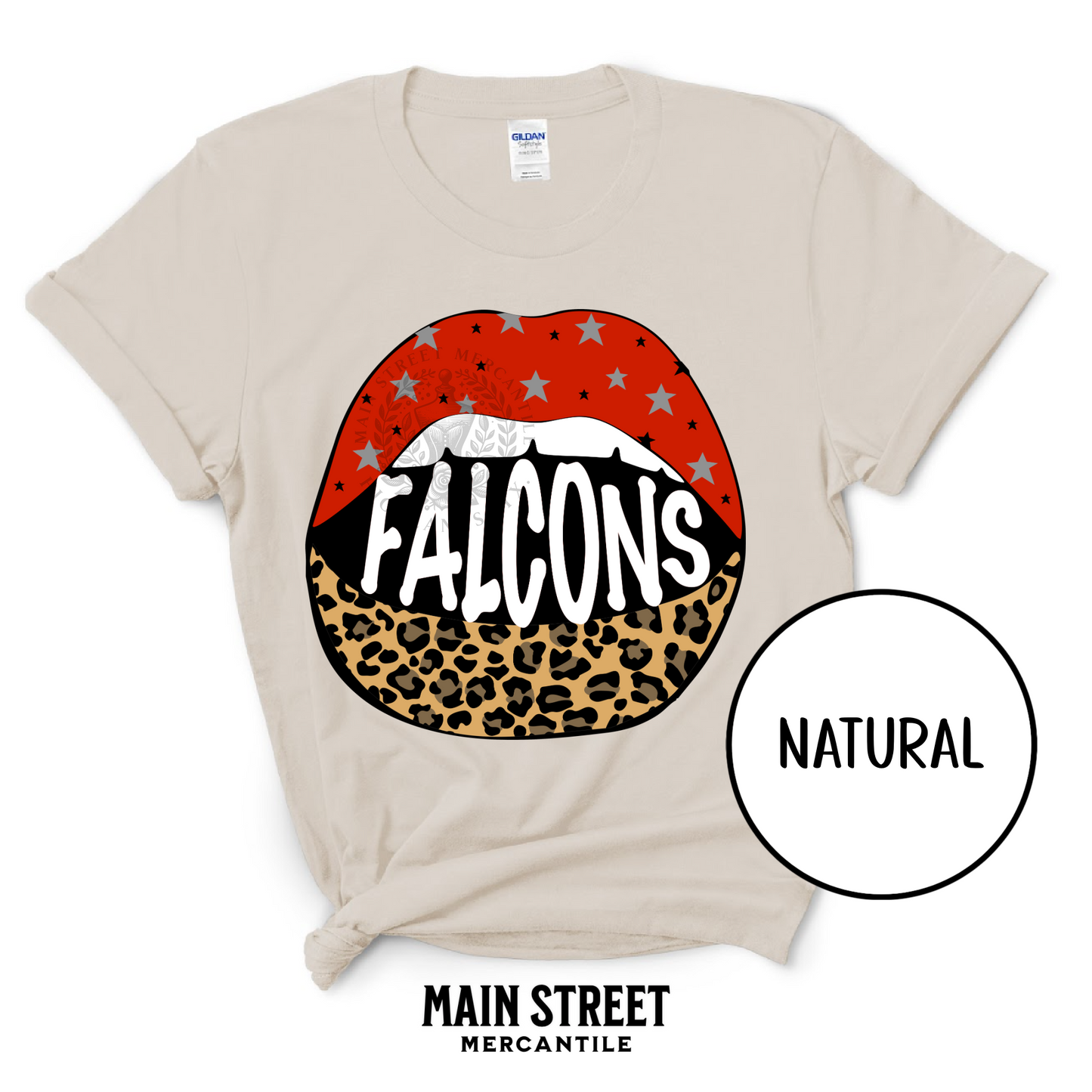 Say It Loud Falcons