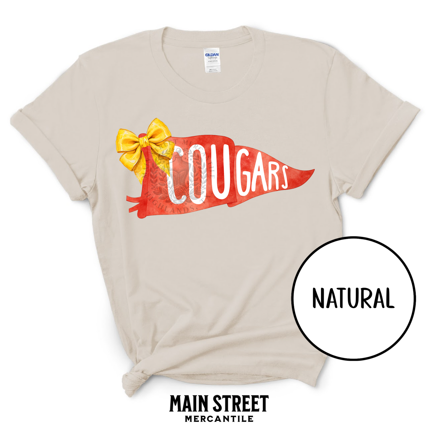 Pennant Flag Cougars