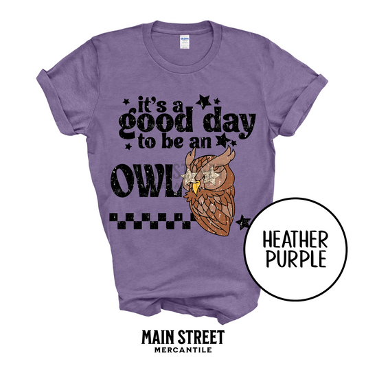 Good Day to be a Owl