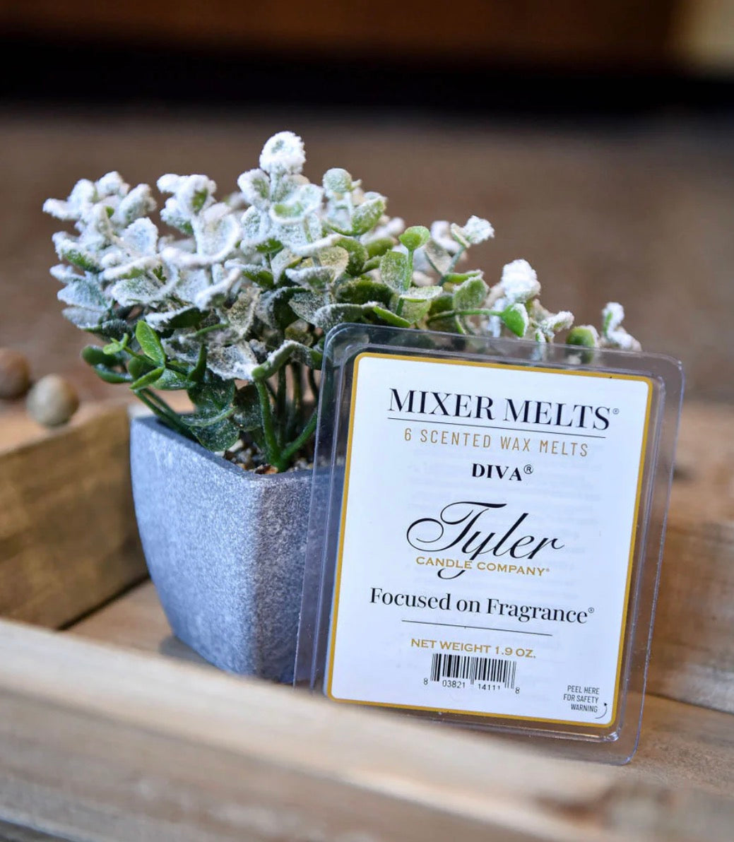 Tyler Mixer Melts (Wax Melts)